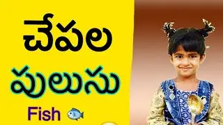 How to make fish recipe vlog  ||Raju thandra|| telugu || 15/05/21