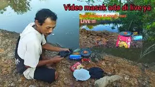 catch mud crabs