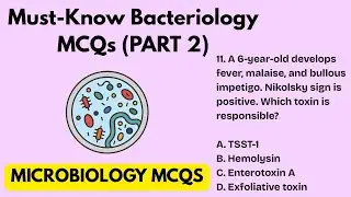 Bacteriology Case MCQs | 25 High-Yield Questions for MLT, NEET PG, Nursing, DHA, HAAD exams