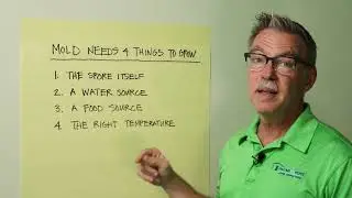 Mold Testing