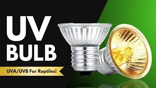 50watts UV Bulb forHolder