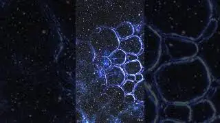 What if the Big Bang wasn't the beginning? 🌌 #Shorts