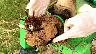 64!! Good action!! Cleaning mud and remove the steel stuck in cow hoof