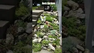 Small Rock Gardens on a Budget 03 #shors #shortsvideo #garden