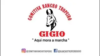 #6 conhecimento tropeiro- tropa na forma
