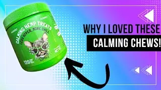 Review of Calming Hemp Treats for Dogs
