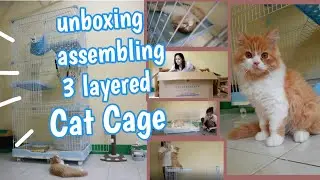 3 layered Cat Cage || Philippines ||
