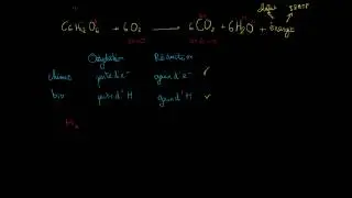 Oxydo-réduction lors de la respiration cellulaire