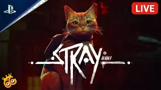 STRAY: ON PS5 | FROM THE BEGINNING
