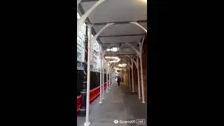 Walking in USA (Quest 3s)