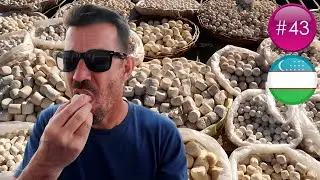 JE TESTE LE FROMAGE OUZBEK! 🇺🇿 | OUZBÉKISTAN | (VLOG #43)