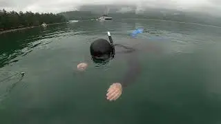Smallmouth Bass Snorkel Fishing