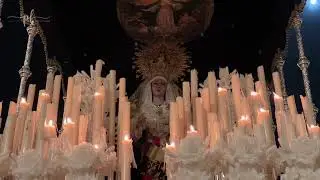 La Hermandad de Jesús Despojado de Salamanca por la Plaza Mayor   Domingo de Ramos 2024