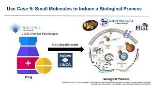 Playbook Workflow Builder - Use Case 5 - Small Molecules to Induce a Biological Process