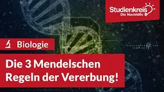 Die 3 Mendelschen Regeln der Vererbung! | Biologie verstehen mit dem Studienkreis