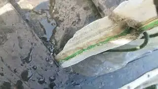 Ti na ra thăm ông ngoại bắt cá ở sông lanh ngà