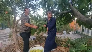 2 GÜNLÜĞÜNE İZMİRE GELDİK DAĞ EVİNE GİTTİK | İNCİR ÜZÜM TOPLADIK | BAHÇE ÇOK ÇİRKİN OLMUŞ 