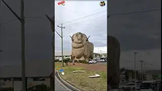 I Found largest sheep🐑in Google earth🌍 #shorts #Unknown Earth