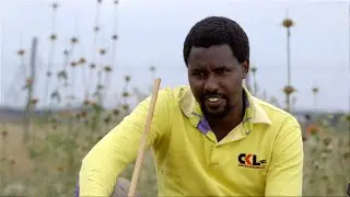 Shamba Shape Up Sn 11 - Ep 23: Beef Cattle management, Nutrition & Electric pressure cooker(English)