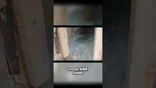 Disturbing Discovery: Human Remains Found in Cremation Chamber