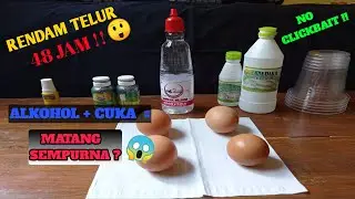 Eksperimen Rendam Telur 48 jam Menggunakan Berbagai Cairan❗~Percobaan Aneh