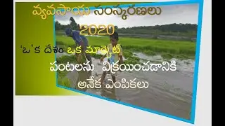 Agricultural Reforms 2020, ఒక దేశం ఒక మార్కెట్, One Nation One Market