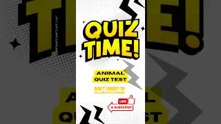 Family Quiz time Animals #quiz #animalquiz #animalshorts #shorts #quizchallenge #quiznight #quizes