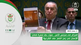 حصاد 2025 - الجزائر فى مجلس الأمن | .. صوت حق لنصرة قضايا الإنسان في زمن القفز على الشرعية