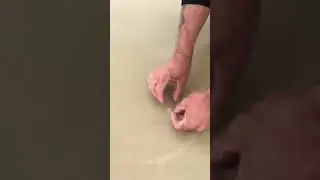 How To Catch Sea Worms