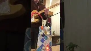 Earthquaker Devices Disaster Transport Jr. demo1