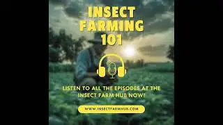 Insect Farm Hub Podcast Ep. 27: Black Soldier Flies - Transforming Waste into Local Wealth