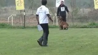 VERANIS K9 CENTER