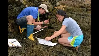 Live from the Field: Climate Change at the Land-Sea Interface October 13, 2020