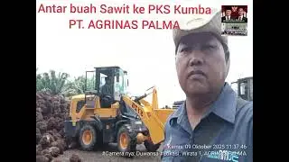 Duwansa Mualang
