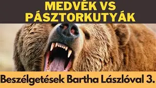 MEDVÉK vs PÁSZTORKUTYÁK! Beszélgetések Bartha Lászlóval - 3. rész! DogCast TV!