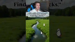 Проверь Своё Зрение: Найди Всех Уточек!🤯🦆  #shorts #шортс #челлендж #прикол #мем #юмор #пранк #тест