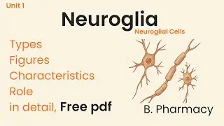 Neuroglia in Hindi | Types | Functions | Structure | neuroglial cells | B.Pharmacy