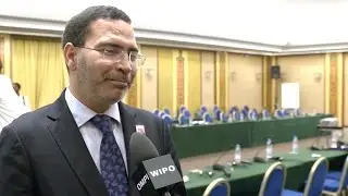 WIPO DG, Morocco Call for Ratification of 