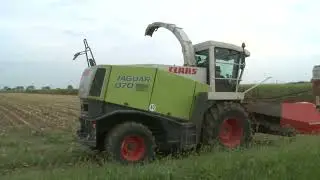Claas Jaguar 870 grinta da vendere