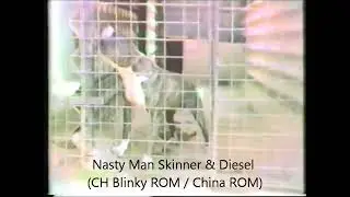 Nastyman Diesel & Skinner (Bros CH BlinkyROM❌Garner Sister ROM)