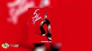 Sponge 101, DBN Gogo & Msongi - Bazozwa (Official Audio)