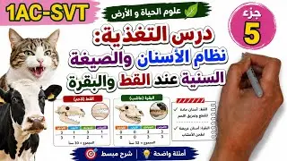 درس التغذية عند الإنسان و الحيوان:للأولى إعدادي الجزء5|la nutrition chez l'homme et l'animal 1AC SVT