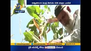 Govt Finalises Products Under Scheme to Increase Farmer Income | Exports