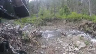 Beta Xtrainer Magic Carpet Ride /  through the forest