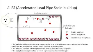 Making lead pipes safe (video)