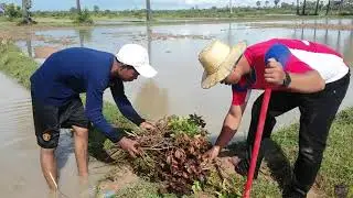 Creative Boys Make PVC Pipe Deep Hole Fish Trap Traditional Fishing Trap Video 2017 ( Full HD )