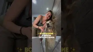 Не потеряйте - мыло от Pamilee, нашла на вб #WW252901 🐾 ✅ #собака #юмор #семья