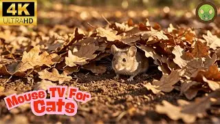 Cat TV Mouse Video 🐭 | Calm Dry Leaves for Cats (4 Hours)