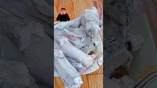 Beef Trotters Cleaning| Before & After Results #viral #funny #tricks