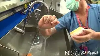 Surgical Scrub Technique (NICU)